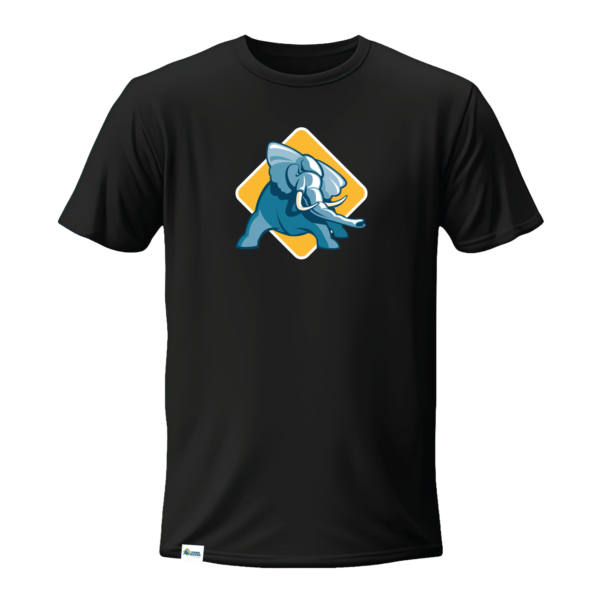 Big Logo T-Shirt (Black)